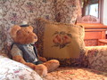Teddy at Lukáš's cottage