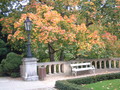 Autumn stills